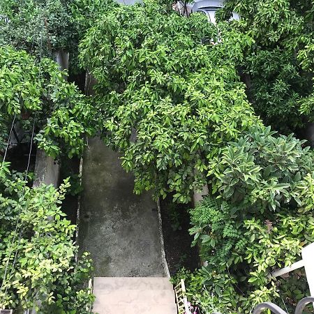 Nina Guest House Tiranë Ngoại thất bức ảnh