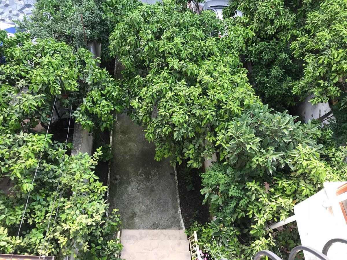 Nina Guest House Tiranë Ngoại thất bức ảnh